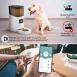 Pet Feeder 3